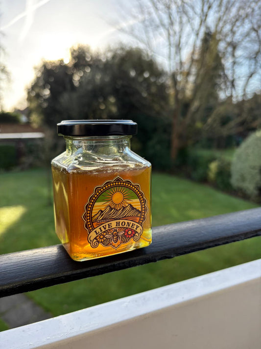 Pure Zagros Wildflower Honey - 250g